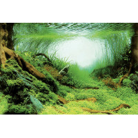 Deco Poster/Background C